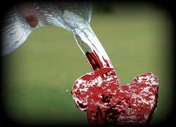 Water into Wine