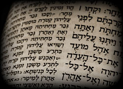 search the Scriptures