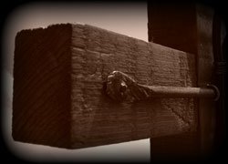 the cross
