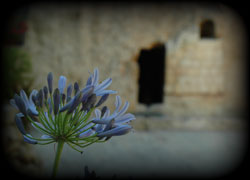 the tomb